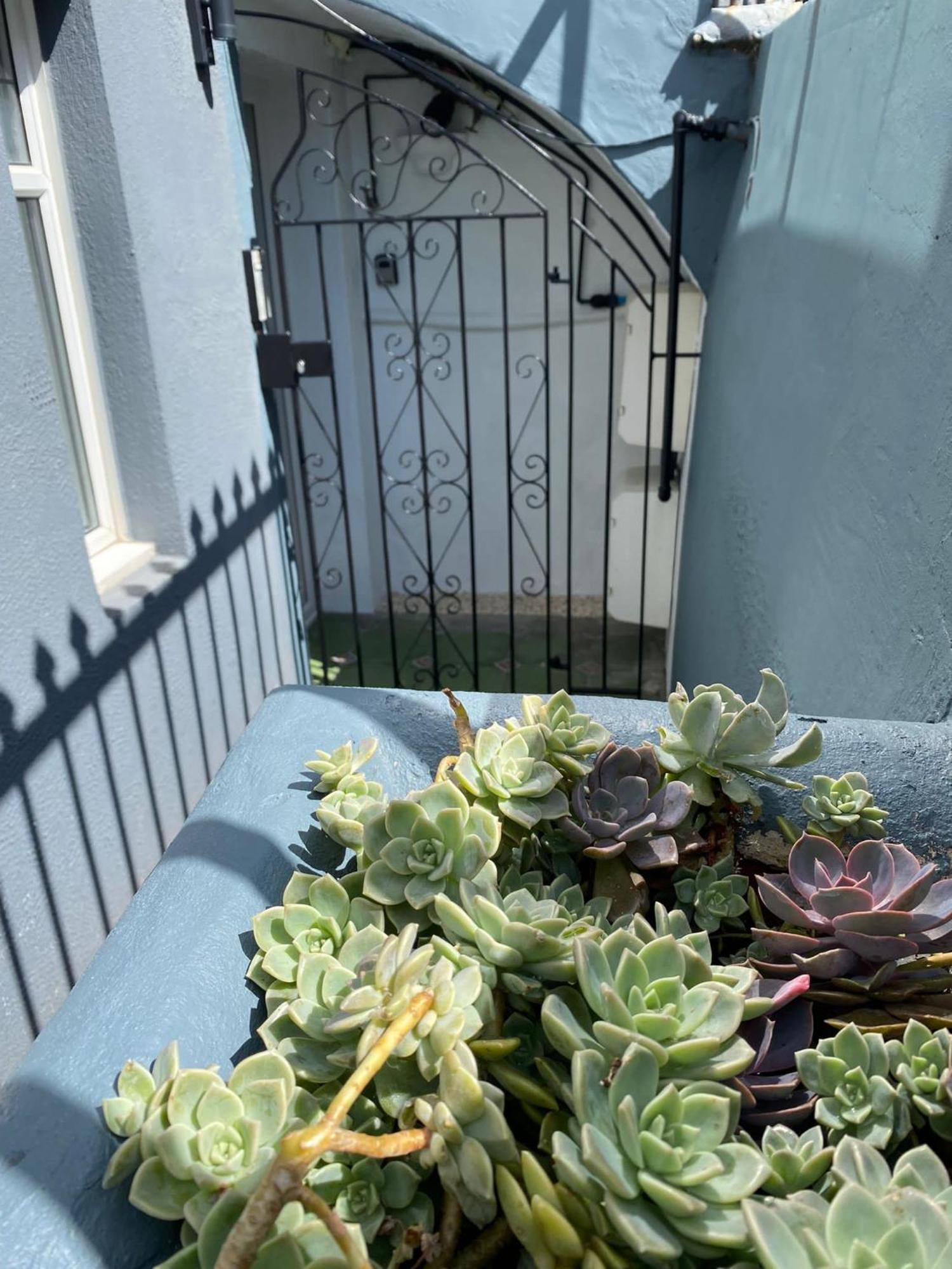Kemptown Courtyard Apartment Brighton Екстер'єр фото
